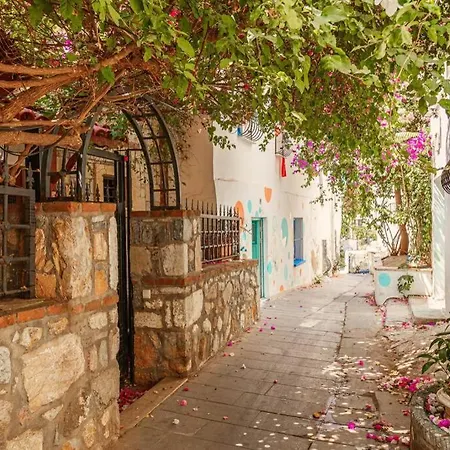Villa Bodrum Merkeze Yuerueme Mesafesinde Tarihi Tas Ev *