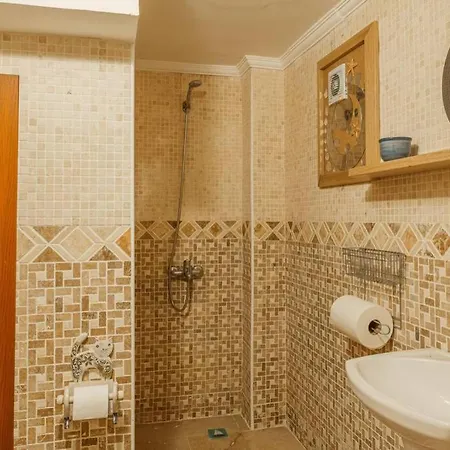 Bodrum Merkeze Yuerueme Mesafesinde Tarihi Tas Ev Villa