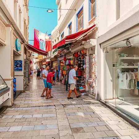 Villa Bodrum Merkeze Yuerueme Mesafesinde Tarihi Tas Ev