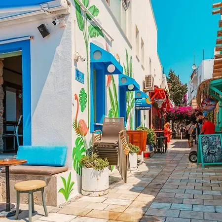 Bodrum Merkeze Yuerueme Mesafesinde Tarihi Tas Ev *